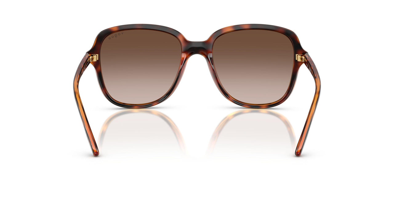 W65613 - Brown - Gradient Dark Brown