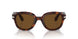 24/57 - Tortoise - Polarized Brown