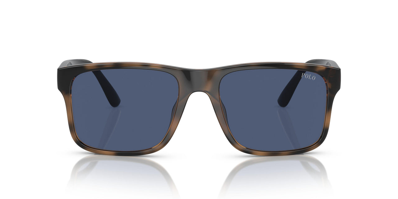 597480 - Brown - Blue