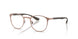 2943 - Copper - Demo Bio