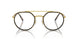 9196GI - Gold - Clear/brown