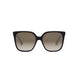 01F - Shiny Black - Gradient Brown