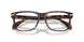3002 - Tortoise