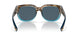 900413 - Brown - Gray 580p