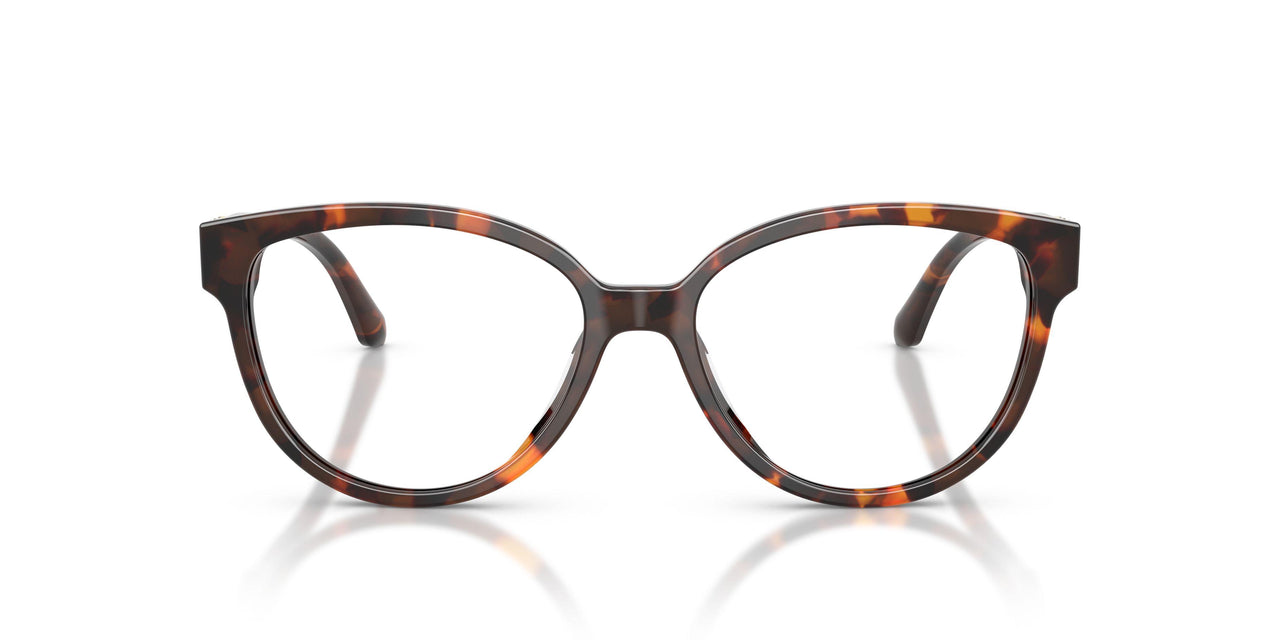 4031 - Tortoise