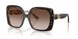 321713 - Tortoise - Brown Gradient