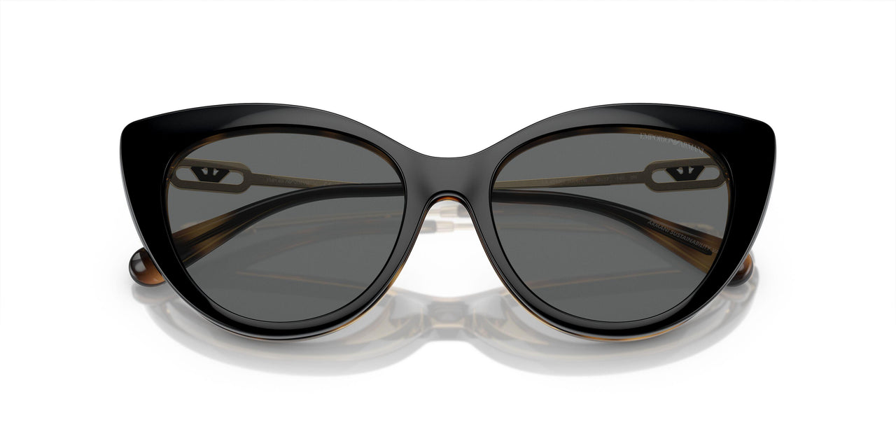 50261W - Tortoise - Clear