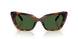 100271 - Tortoise - Dark Green