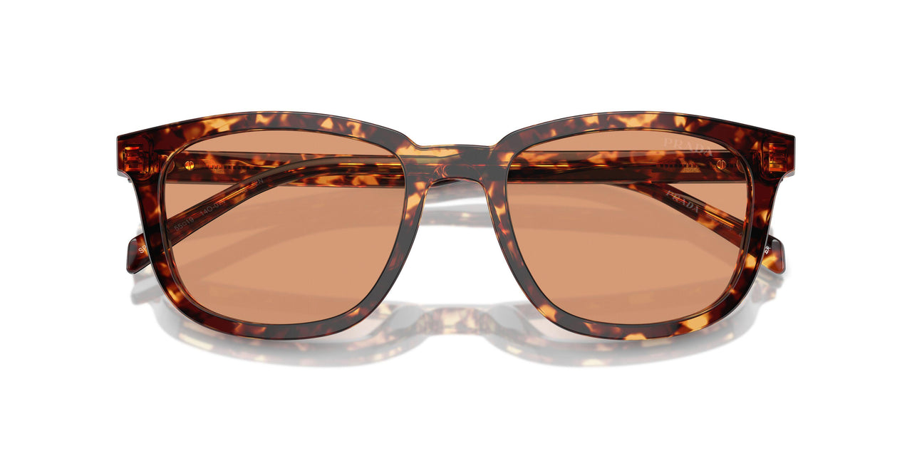 14O07V - Tortoise - Orange