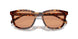 14O07V - Tortoise - Orange