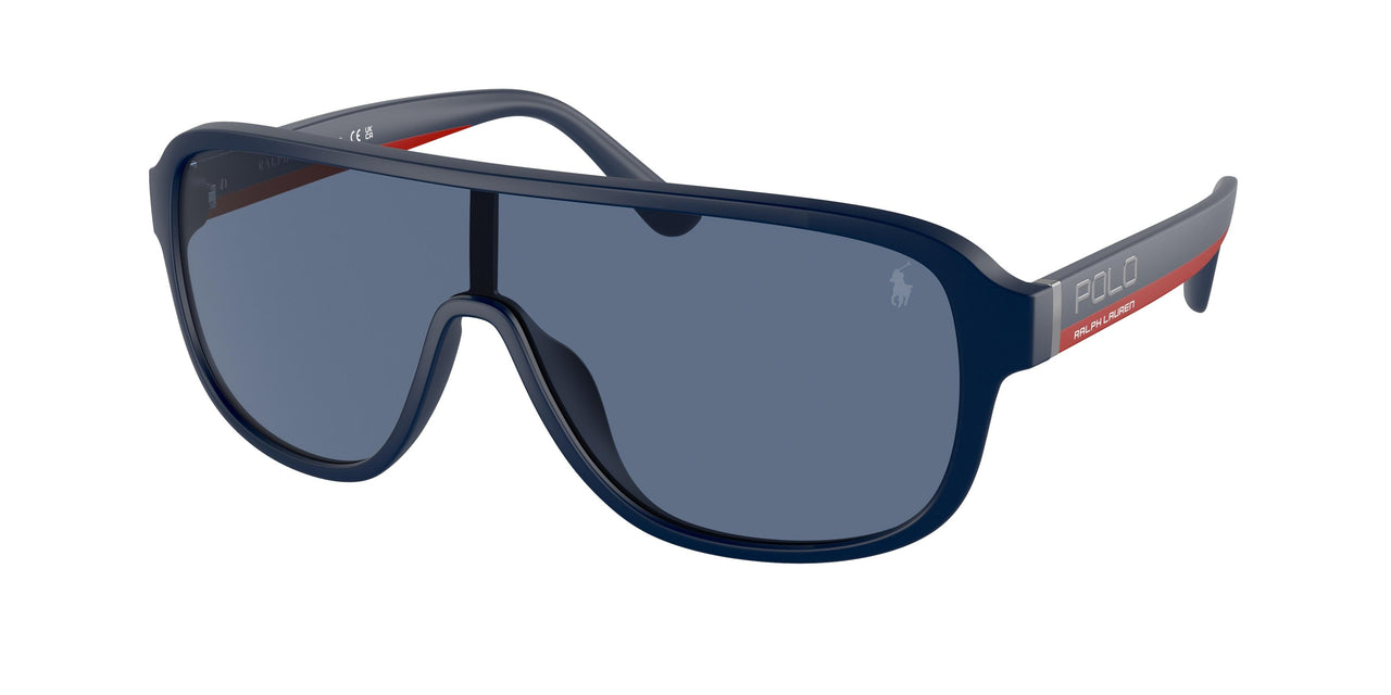 Polo 4196U Sunglasses