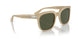 116931 - Brown - Green