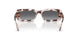 3218T3 - Tortoise - Gradient Grey Polarized