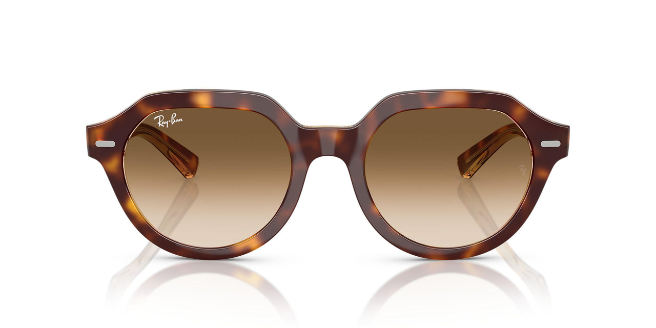 141451 - Tortoise - Clear Gradient Brown