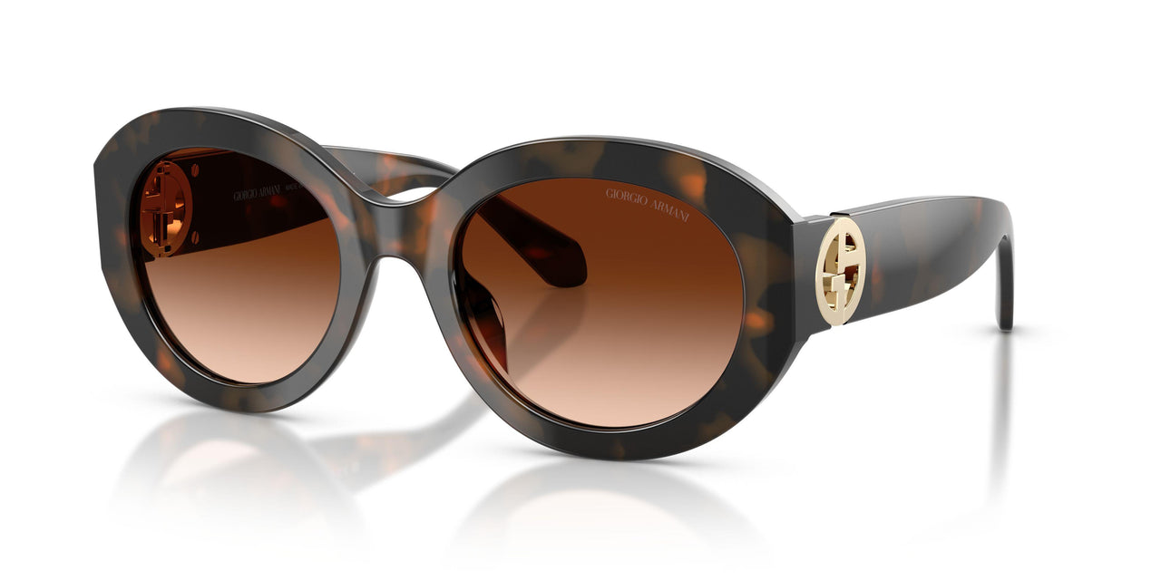 647874 - Tortoise - Brown Gradient