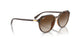 710/13 - Brown - Brown