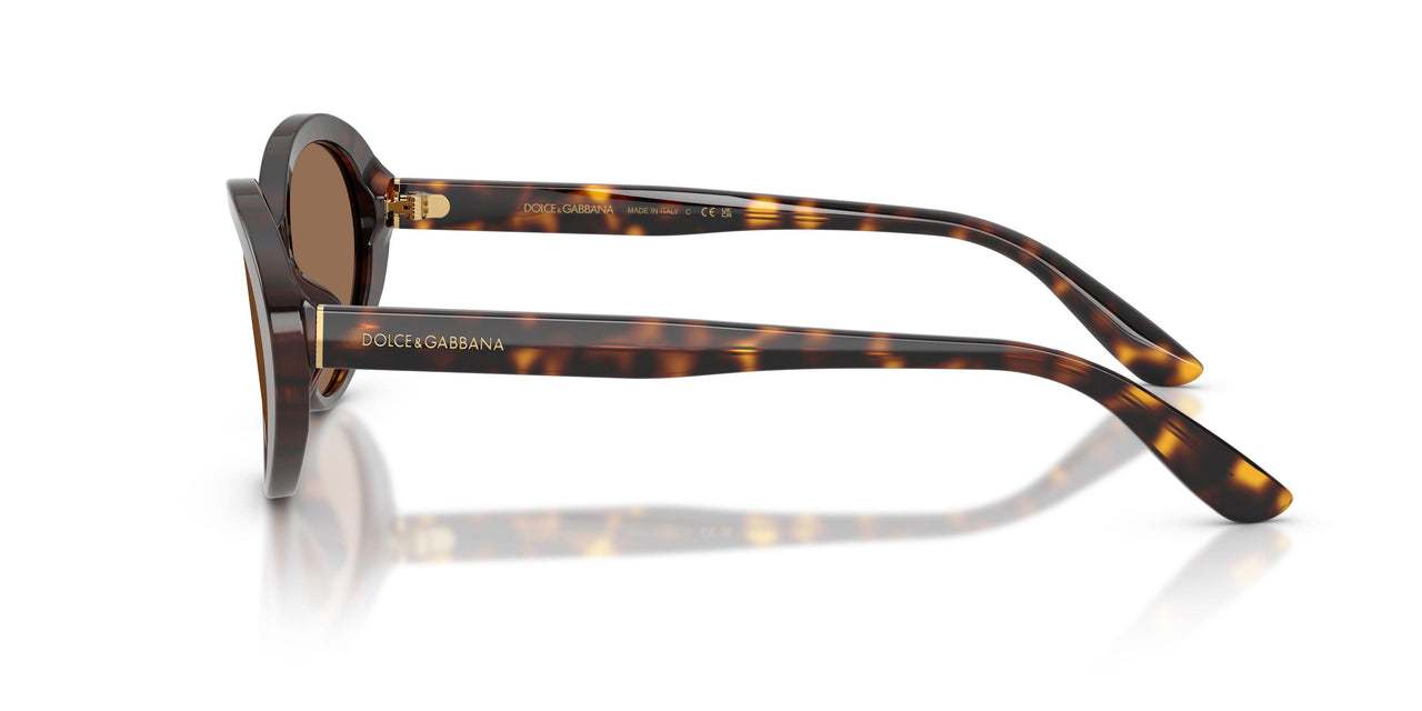 502/73 - Tortoise - Dark Brown