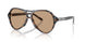 Diesel 2013U Sunglasses