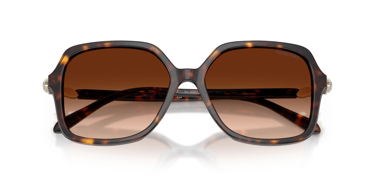 100274 - Tortoise - Gradient Brown