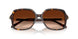 100274 - Tortoise - Gradient Brown