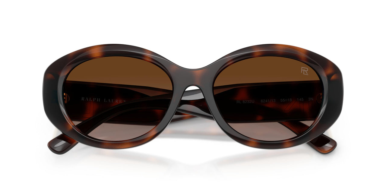 624113 - Tortoise - Gradient Brown