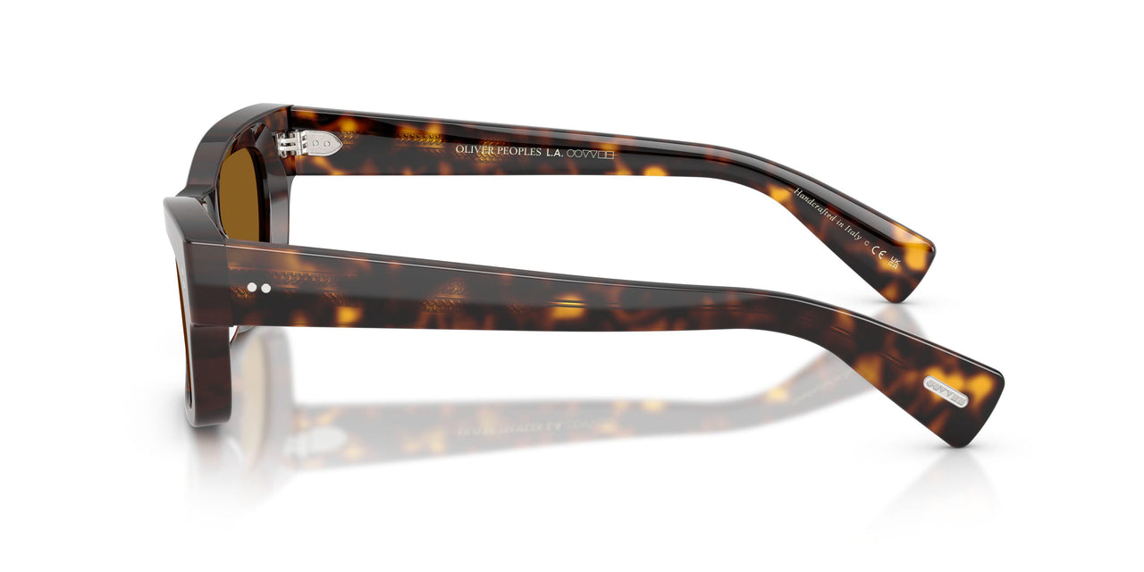 100953 - Tortoise - True Brown