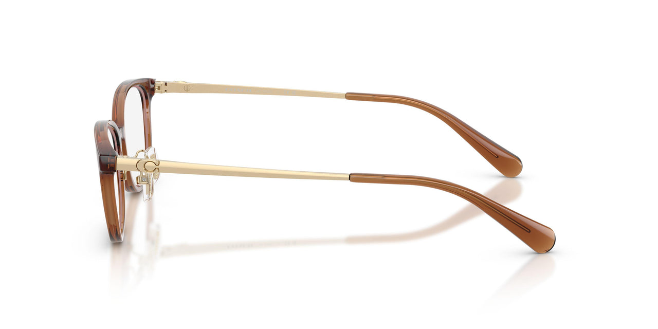 5888 - Brown