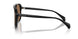 300173 - Black - Dark Brown