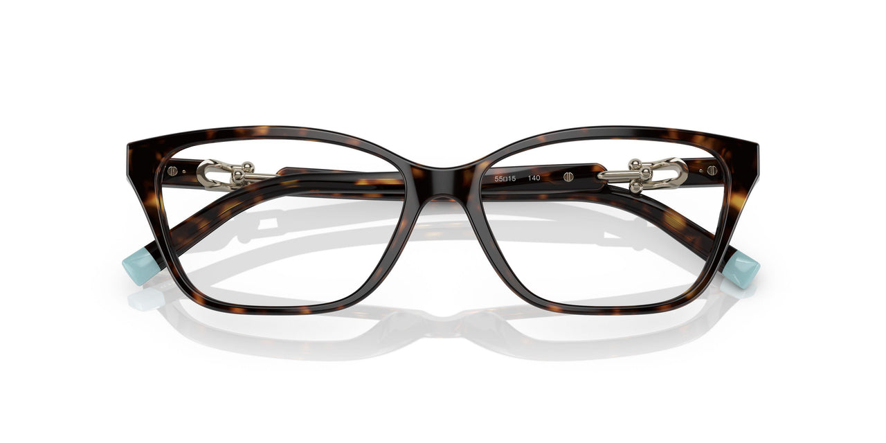 8015 - Tortoise