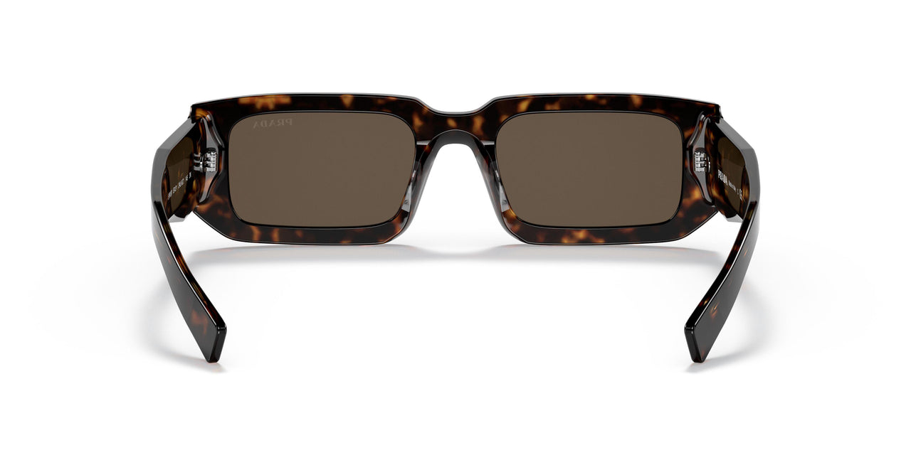 2AU8C1 - Havana - Dark Brown