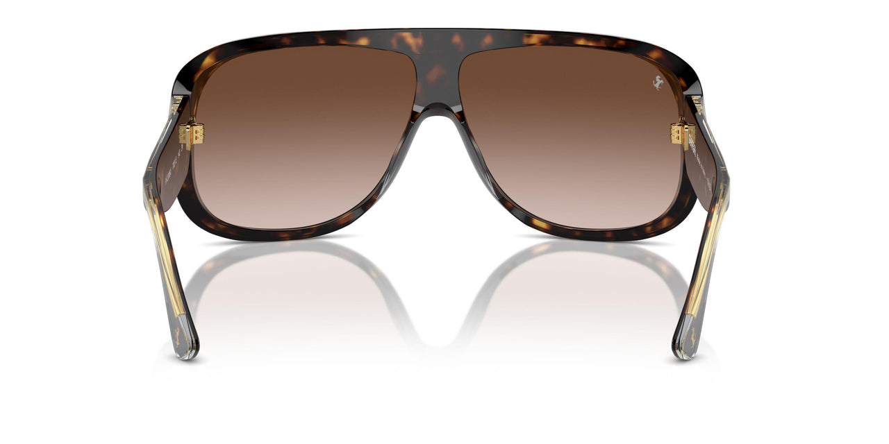 702/13 - Tortoise - Gradient Brown
