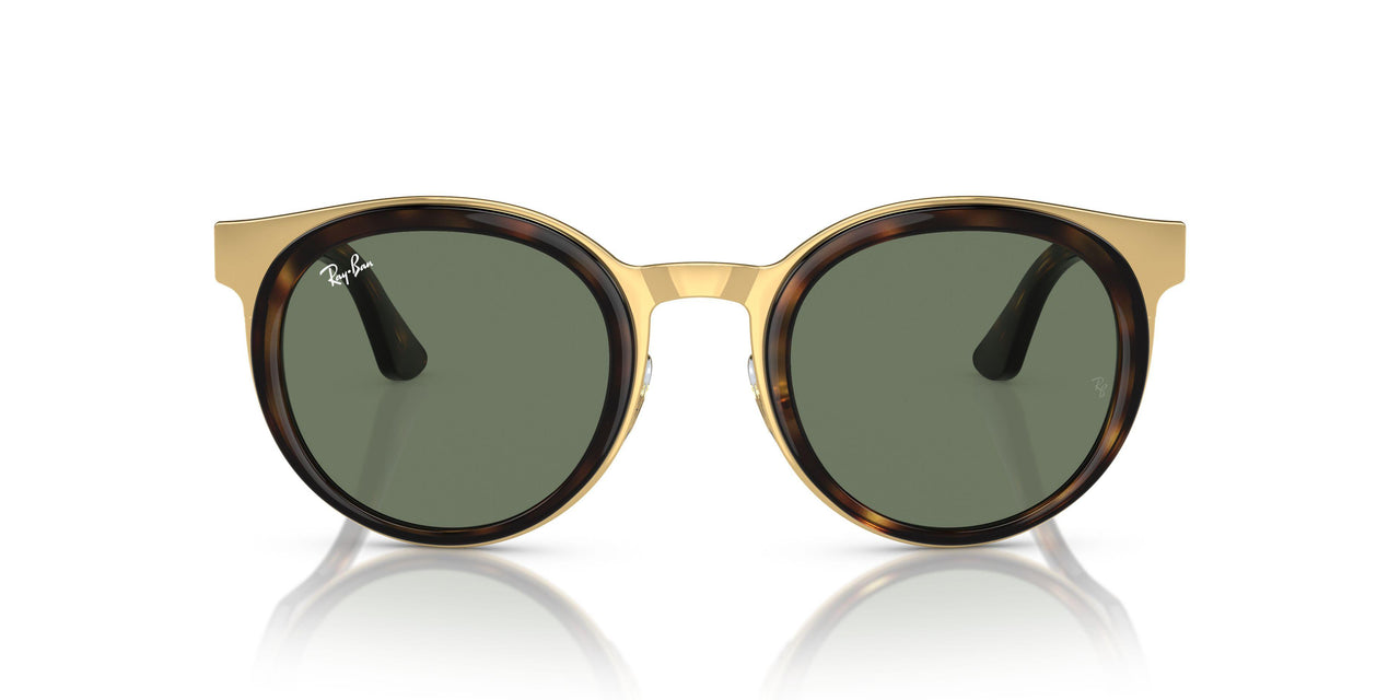 001/M1 - Tortoise - Clear/green