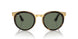 001/M1 - Tortoise - Clear/green
