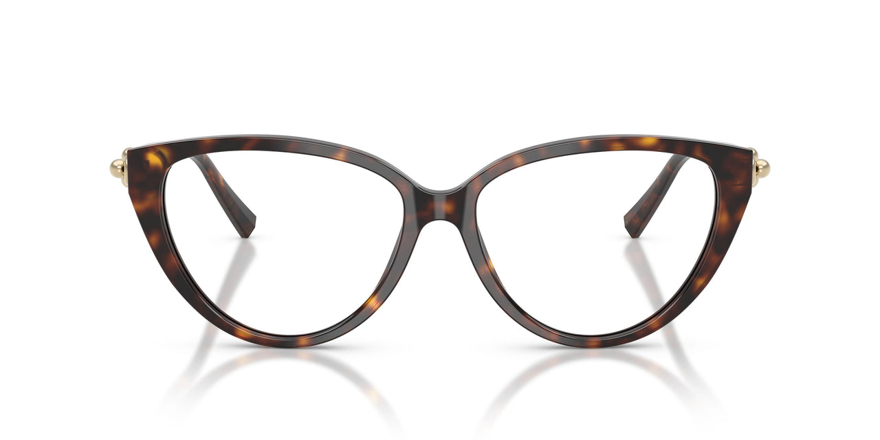 8015 - Tortoise
