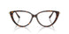 8015 - Tortoise