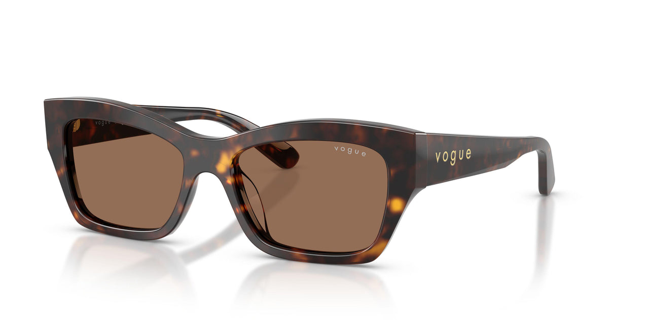 W65673 - Brown - Dark Brown