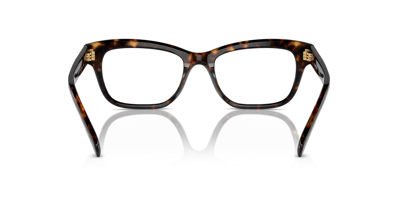 1002 - Brown
