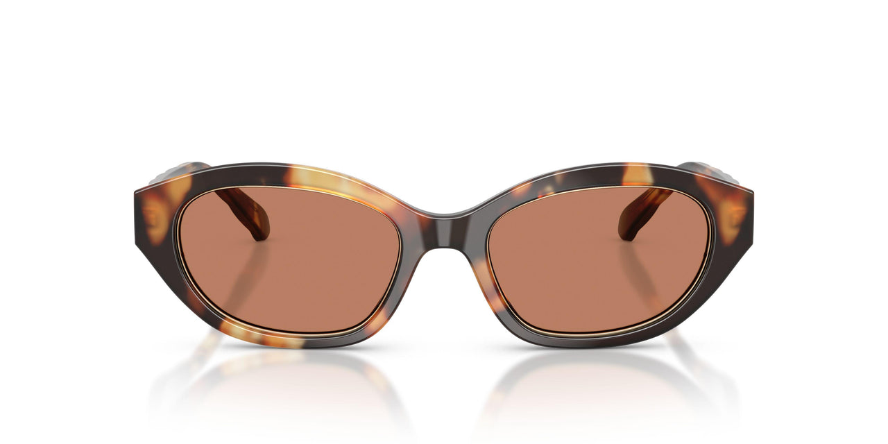 206673 - Multicolor - Amber