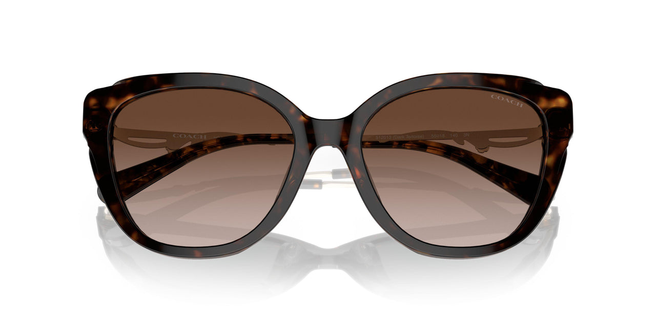 512013 - Havana - Brown Gradient