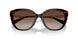 512013 - Havana - Brown Gradient