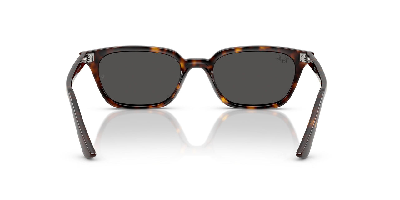 135987 - Tortoise - Dark Grey