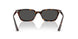 135987 - Tortoise - Dark Grey