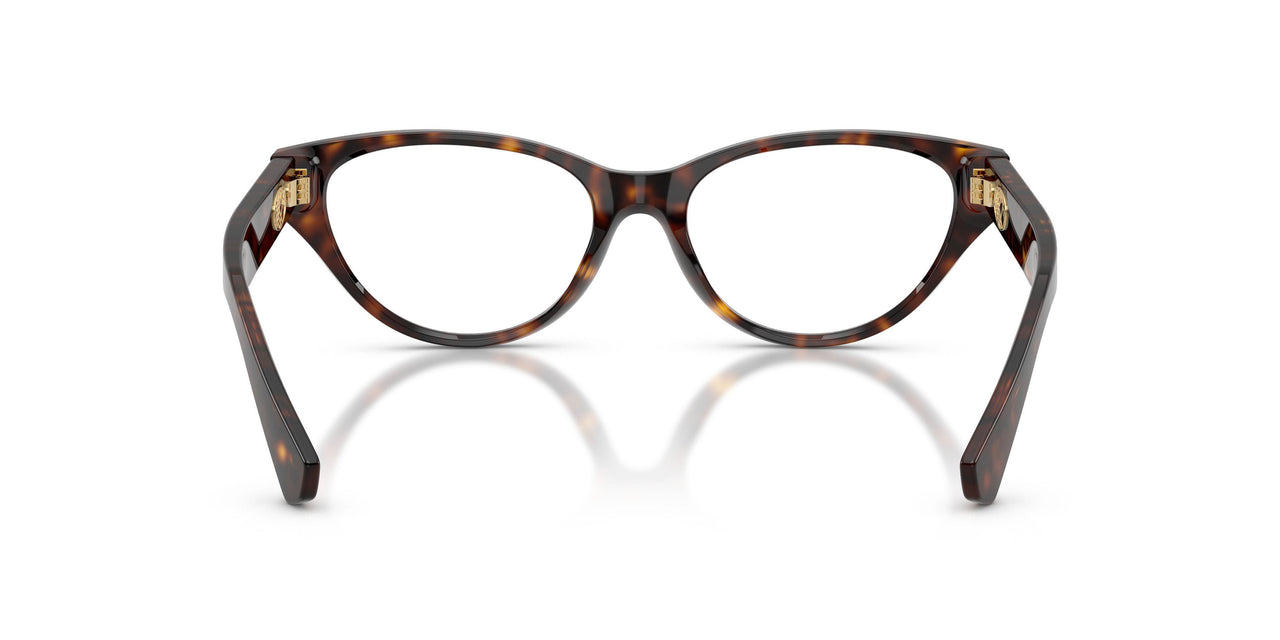 3002 - Brown