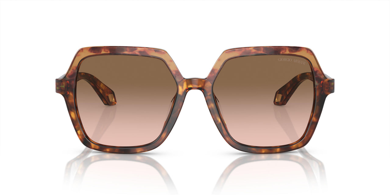 603351 - Brown - Brown Gradient
