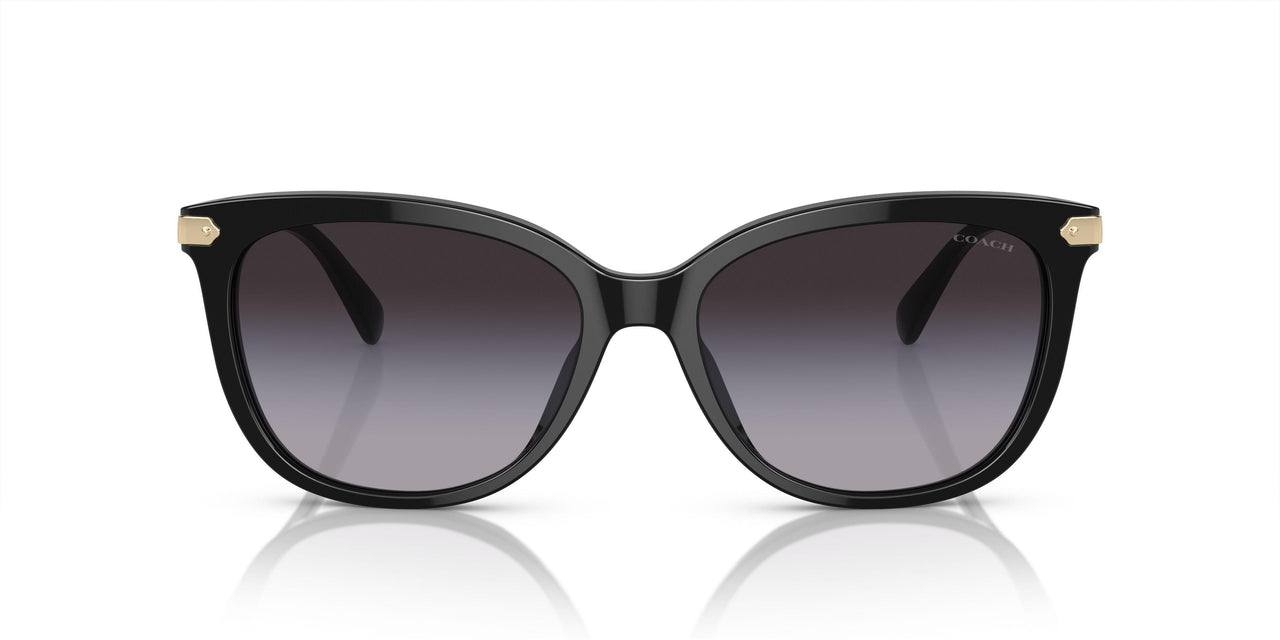 50028G - Black - Grey Gradient