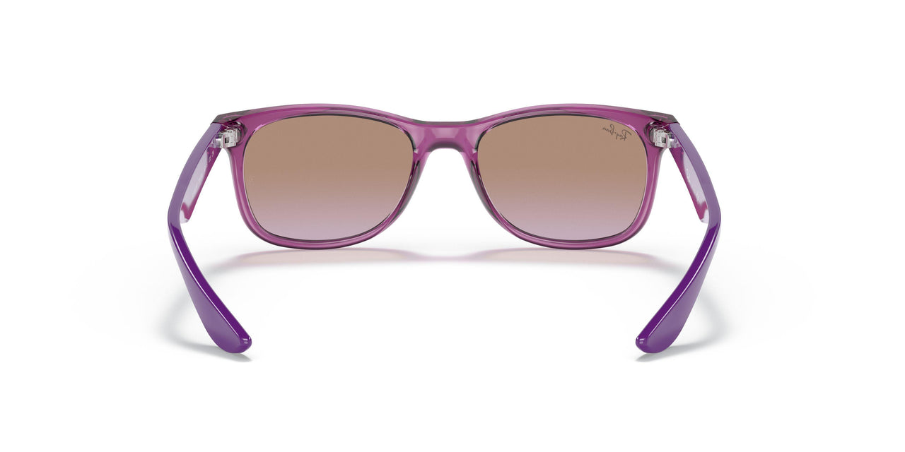 706468 - Transparent Fuxia - Violet Gradient Brown