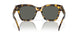 201603 - Tortoise - Gray