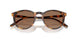 513473 - Havana - Brown