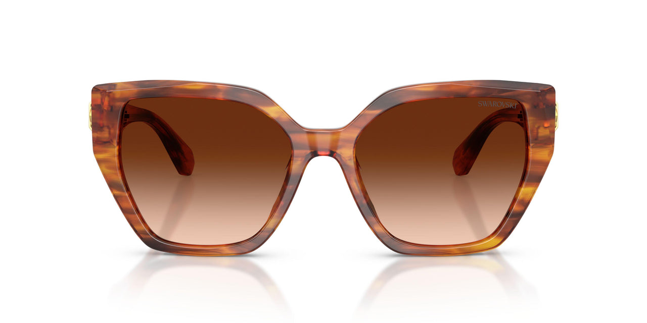 109174 - Tortoise - Brown Gradient
