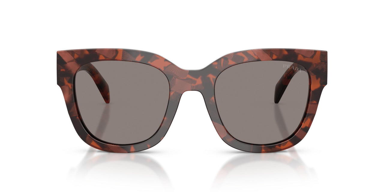 23F80Q - Tortoise - Dark Grey